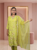 Green tissue shimer straight suit-set, with dupatta